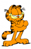 garfield.png