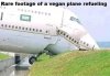 Vegan_plane.jpg