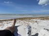 IMG_7829.jpeg