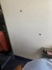IMG_7273.jpeg