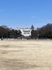 IMG_8200.jpeg