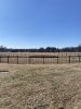 IMG_8205.jpeg