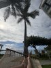 IMG_0054.jpeg