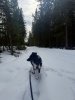 IMG_9232.jpeg