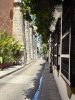 IMG_2781.jpeg