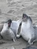 IMG_6097.jpeg