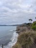 IMG_6127.jpeg