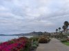 IMG_6126.jpeg