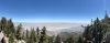 IMG_6248.jpeg