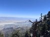 IMG_6247.jpeg