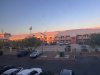 IMG_6311.jpeg