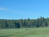 IMG_6381.jpeg