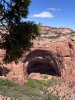 IMG_6438.jpeg
