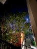 IMG_2596.jpeg