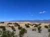 IMG_6762.jpeg