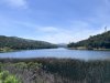 IMG_6783.jpeg