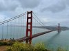 IMG_6817.jpeg