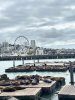 IMG_6851.jpeg