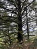 IMG_6872.jpeg