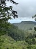 IMG_6874.jpeg