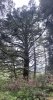 IMG_6873.jpeg