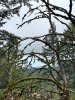 IMG_6871.jpeg