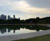 IMG_0639.jpeg