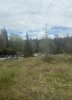 IMG_9400.jpeg