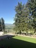 IMG_9461.jpeg