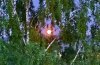 IMG_2981.jpeg