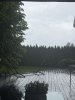 IMG_0197.jpeg