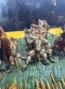 IMG_9723.jpeg