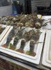 IMG_9724.jpeg