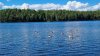 20260611_145421.jpg