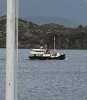 IMG_1131.jpeg