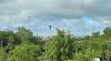 20260617_094906.jpg