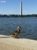 IMG_9019.jpeg