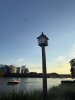 IMG_9048.jpeg