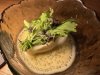 IMG_4331.jpeg
