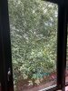 IMG_5677.jpeg