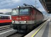 IMG_3519.jpeg