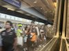 IMG_3523.jpeg