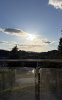 IMG_1318.jpeg