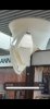 IMG_1227 Large.jpeg