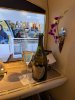 IMG_0498.jpeg