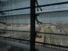 IMG_7370.jpeg