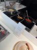IMG_7379.jpeg