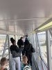 IMG_7381.jpeg