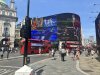 IMG_7184.jpeg