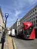 IMG_7163.jpeg